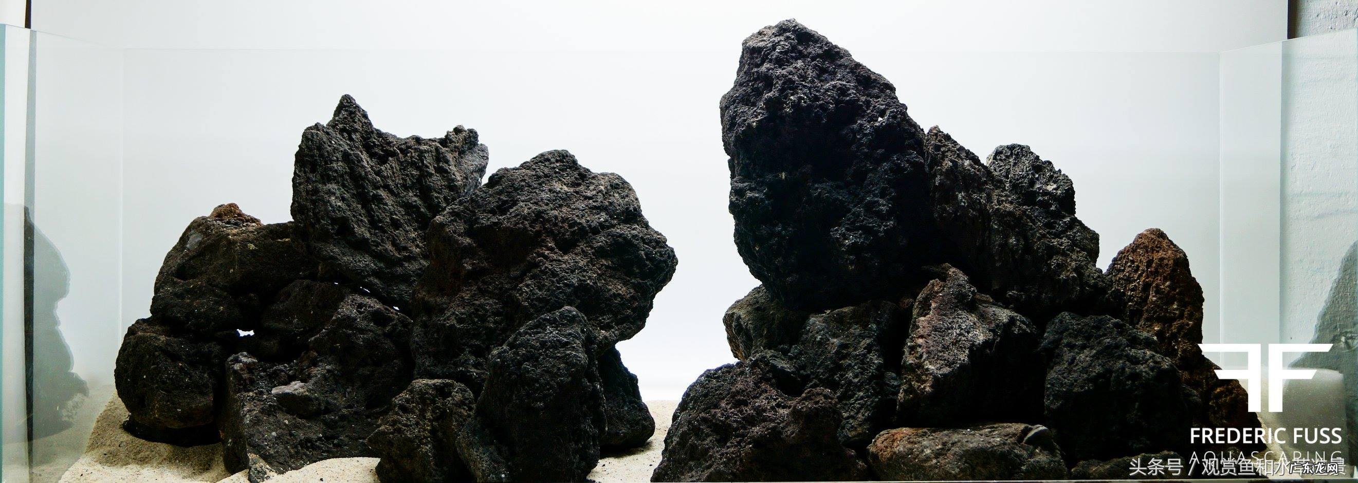 铁树摆放风水禁忌 铁树叶放鱼缸里可以吗