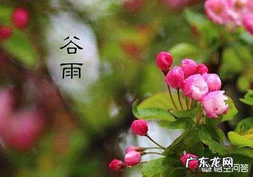 谷雨是什么意思?