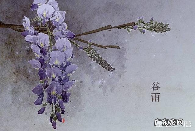 谷雨是什么意思?