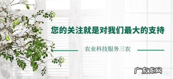 谷雨是什么意思?