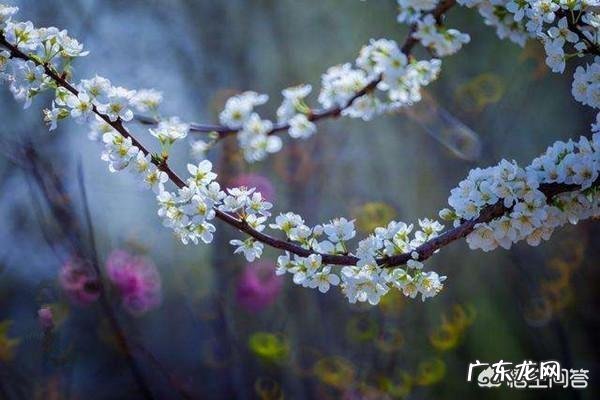 谷雨是什么意思?