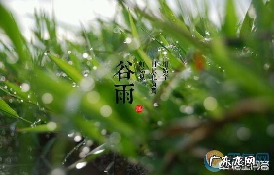 谷雨是什么意思?