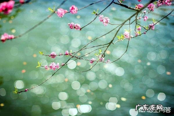 谷雨是什么意思?