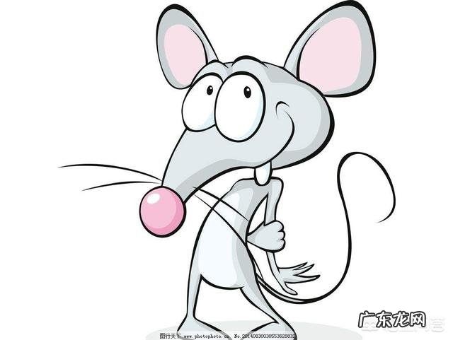 龙生龙凤生凤,老鼠生的儿子经过努力能变成龙和凤吗?