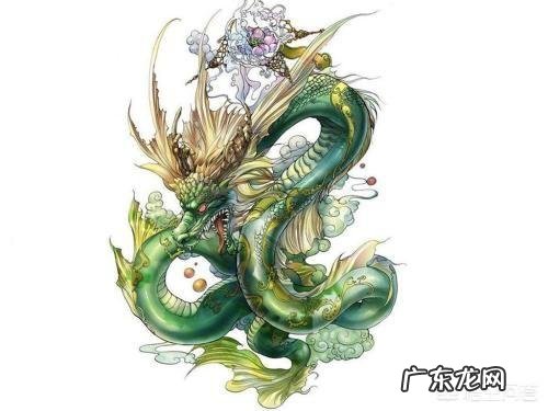 龙生龙凤生凤,老鼠生的儿子经过努力能变成龙和凤吗?