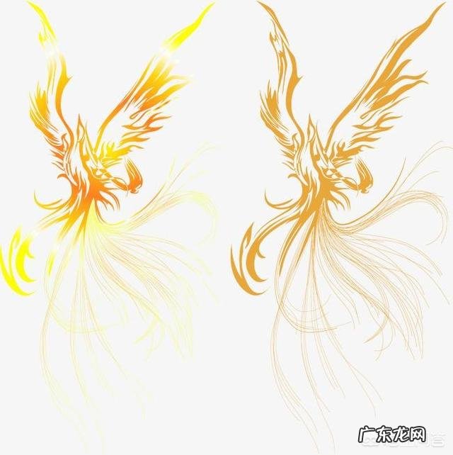 龙生龙凤生凤,老鼠生的儿子经过努力能变成龙和凤吗?