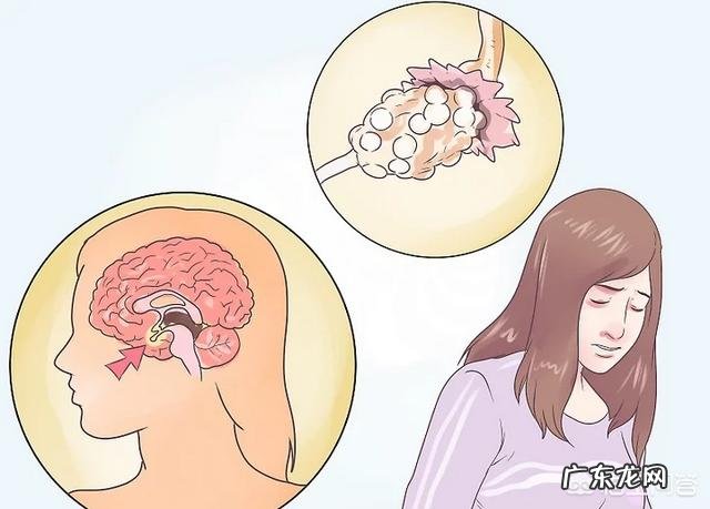 促卵泡生成素是什么?有什么作用?