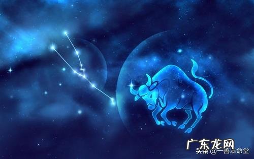 看起来傻其实很聪明的星座女有哪些？