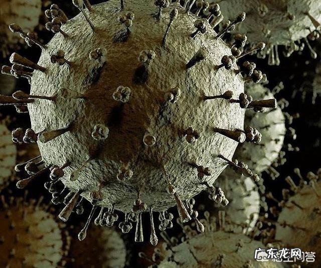 小儿腹泻吃什么比较好?