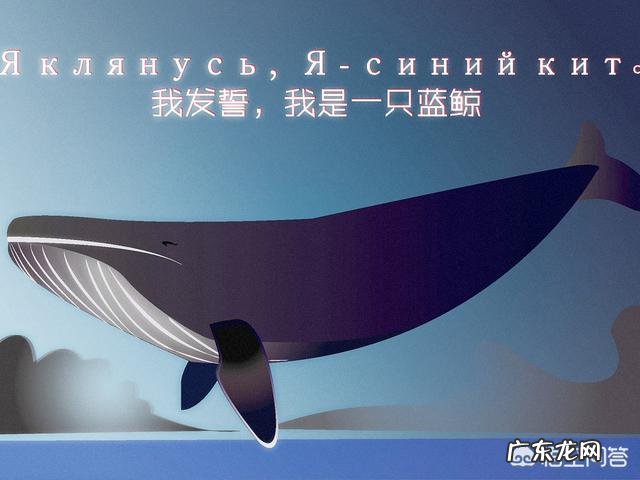 蓝鲸的祖先是陆地上的吗？它们是如何进化又回到水里面去了呢？为何要逆向进化？