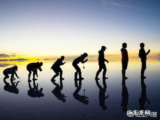 蓝鲸的祖先是陆地上的吗？它们是如何进化又回到水里面去了呢？为何要逆向进化？