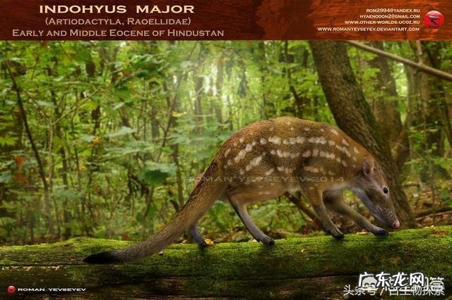 蓝鲸的祖先是陆地上的吗?它们是如何进化又回到水里面去了呢?为何要逆向进化?