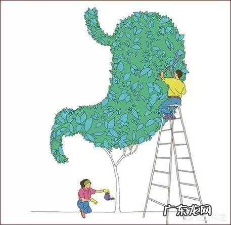 什么是铁棍山药?有什么功效与作用?