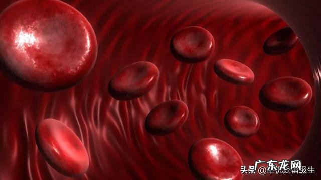 什么是铁棍山药?有什么功效与作用?