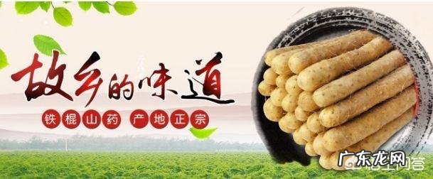 什么是铁棍山药?有什么功效与作用?