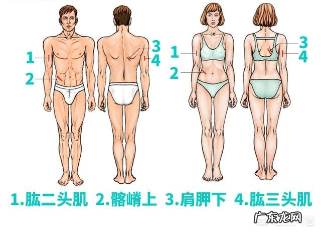 如何检测自己的身体脂肪含量?