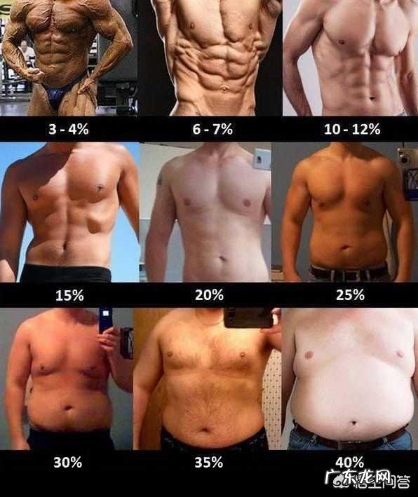 如何检测自己的身体脂肪含量?