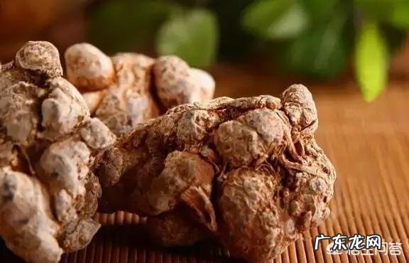 田三七的作用是什么?