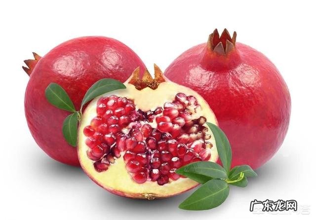 石榴籽能种吗，石榴籽可以当种子吗？