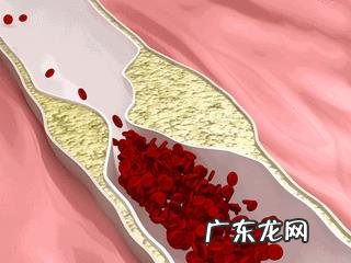 减肥期间能不能吃花生?为什么?