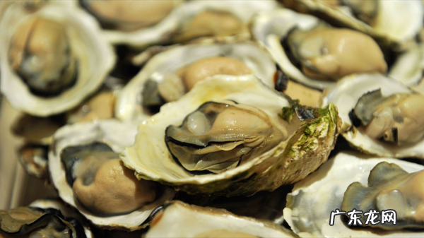 从“神坛”走向大众,吃不垮的自助餐,为什么你永远吃不回本? 金钱豹自助餐团购价