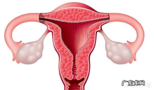 多囊卵巢综合征是什么?