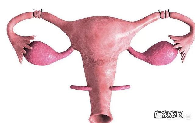 做试管婴儿如何避免宫外孕的发生？