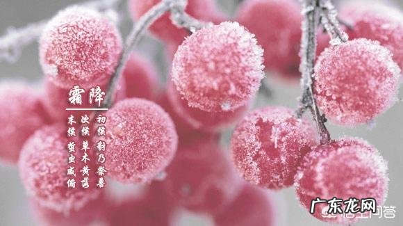 霜降养生吃什么?