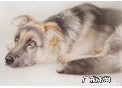 1958年属狗2018年运程?