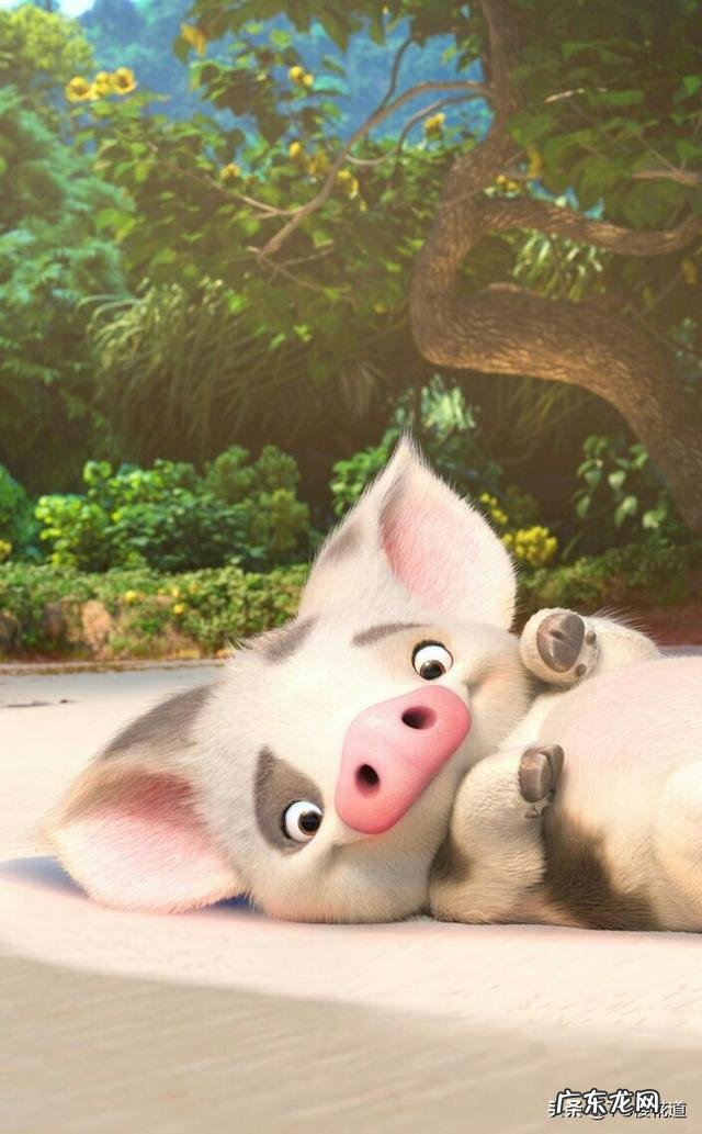 短笑话有哪些类型,哪种类型更有趣受欢迎?