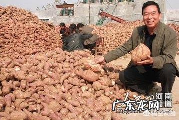 在农村办一个什么工厂比较好?