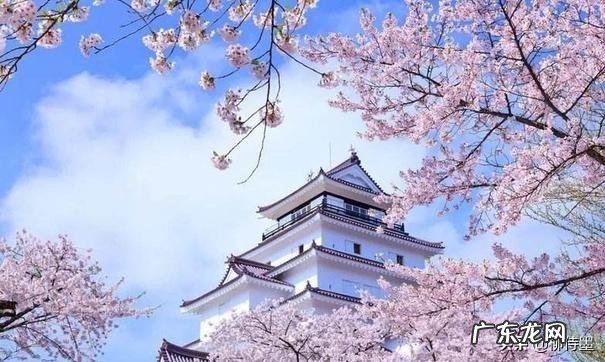 “桃花嫣然出篱笑,似开未开最有情”的诗句道出桃花最美的开放状态,你拍摄过吗?