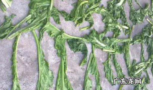 梅菜是什么菜做的？