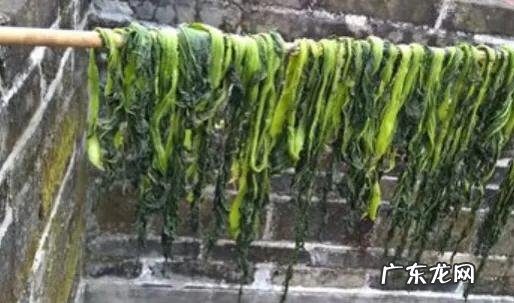 梅菜是什么菜做的？