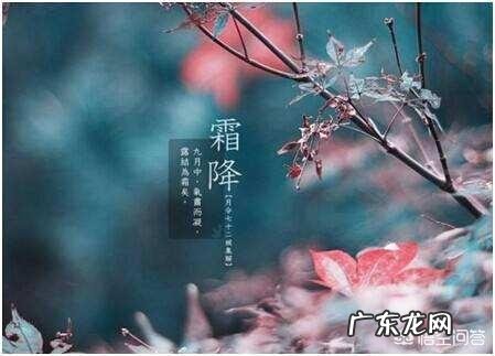 霜降节气将至,霜降是什么意思,要“降霜”了吗?霜是从哪来的?