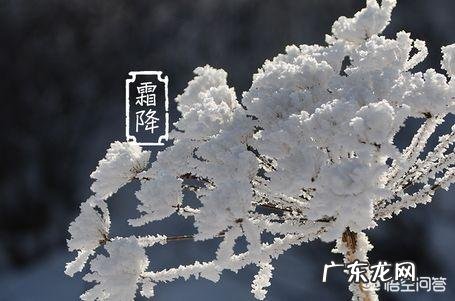 霜降节气将至,霜降是什么意思,要“降霜”了吗?霜是从哪来的?