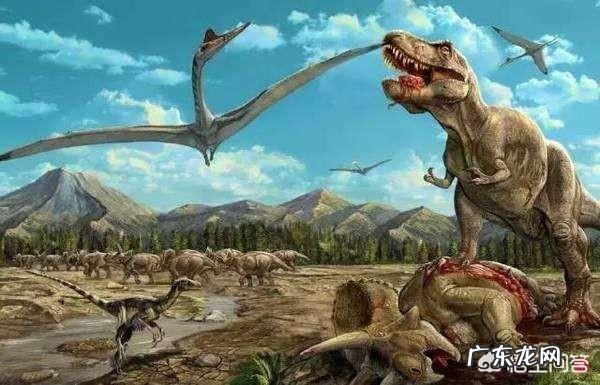 世界上曾存在的最大生物是什么?