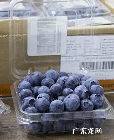 一天吃125克蓝莓可以吗 新鲜蓝莓一天吃多少为宜