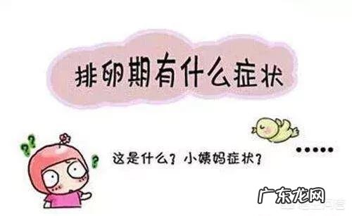 女性在排卵期饮食要注意什么才能更好的受孕?