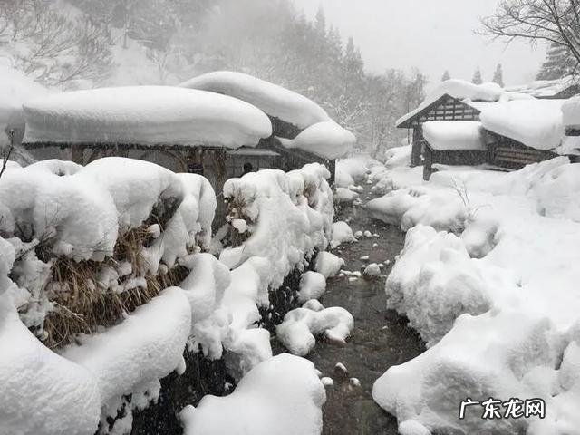 东北锅包肉的正宗做法是怎样的,路过的大师说一下,谢谢?