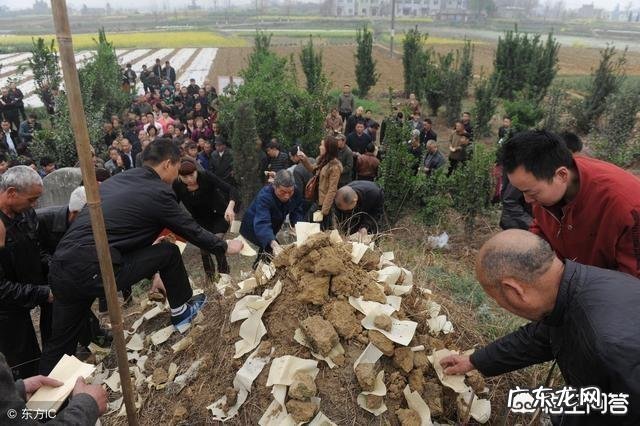 农村俗语”清明不怕晴,谷雨不怕雨”说的是什么意思呢?
