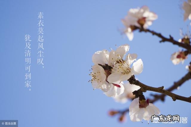 农村俗语”清明不怕晴,谷雨不怕雨”说的是什么意思呢?