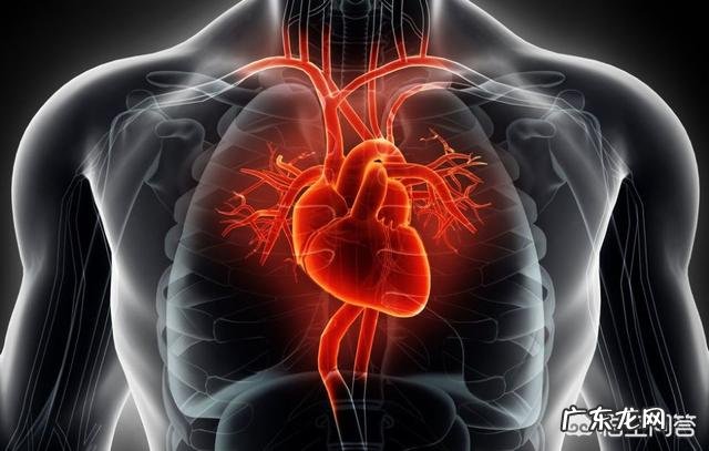 手脚冰凉是怎么回事?