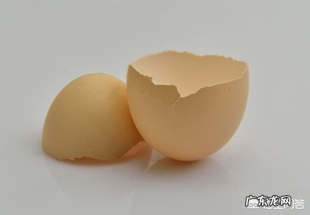 鸡蛋壳有什么用处?