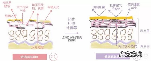 秋冬季皮肤干燥,脸上起皮,该如何保养?