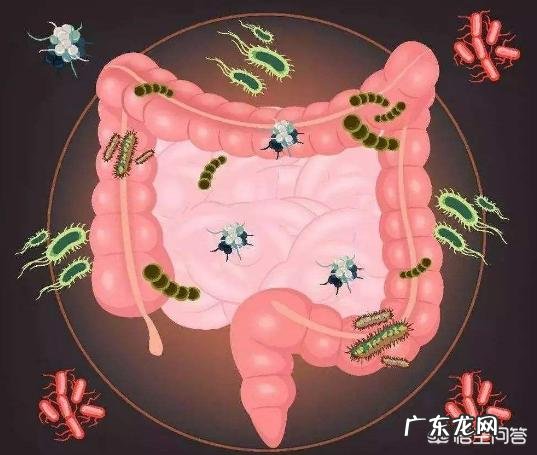 我家宝宝这几天总是腹泻,要怎么办好?