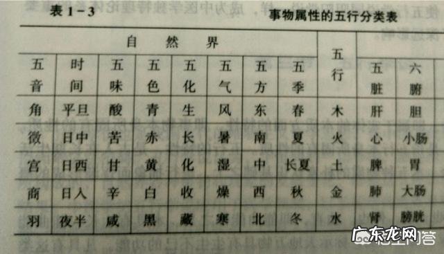 为什么黑色的食物可以补肾?