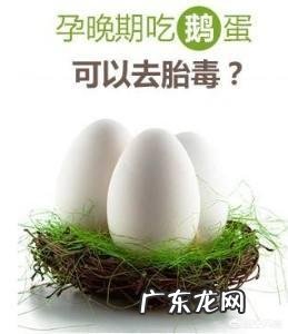 怀孕六个月的人,可不可以吃鹅蛋呢?