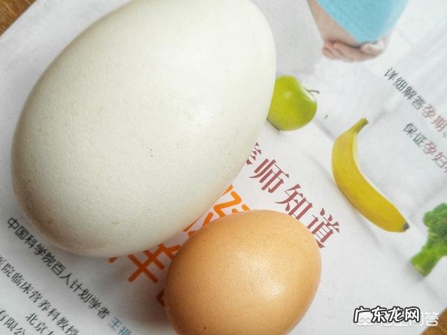 怀孕六个月的人,可不可以吃鹅蛋呢?