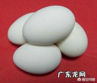 怀孕六个月的人,可不可以吃鹅蛋呢?